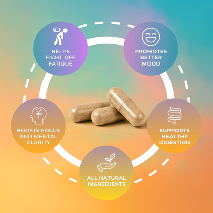 Yerba Mate Capsules